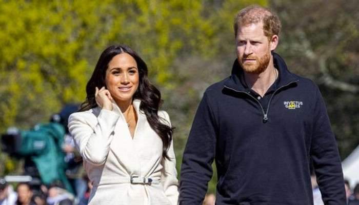 Prince Harry, Meghan Markle part ways professionally citing 'toxicity'  issues