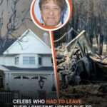 Photos of 13 Celebrity Houses & Neighborhoods Burned to the Ground by LA Wildfires